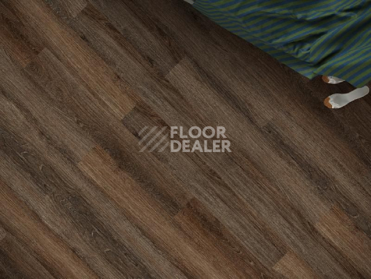 Кварцвиниловые полы Ecoclick Rich клеевой 2.5мм NOX-2077 Дуб Визна фото 1 | FLOORDEALER